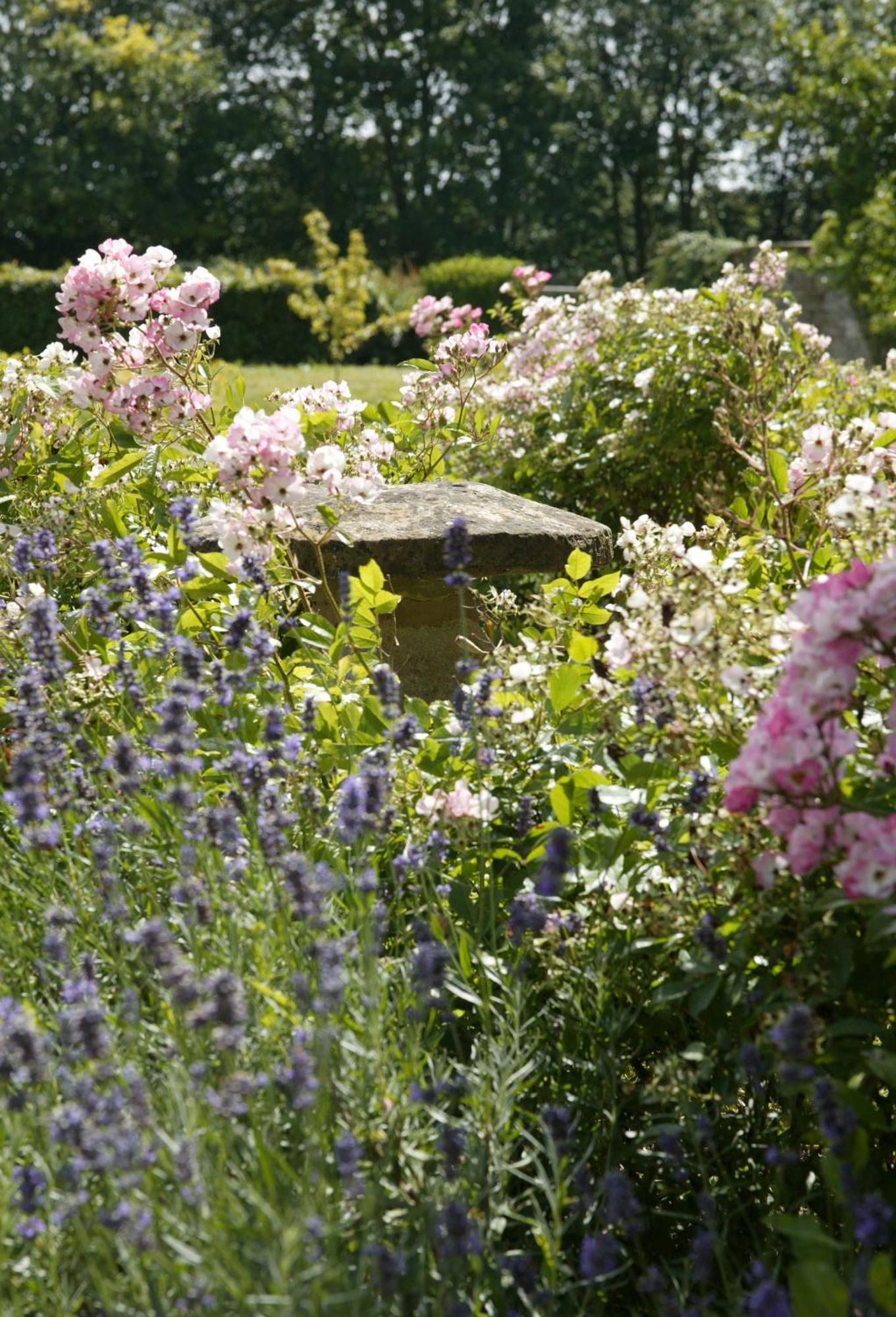 Overtown Manor Bed And Breakfast Swindon Eksteriør bilde